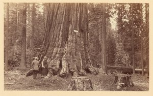  av Carleton Watkins
