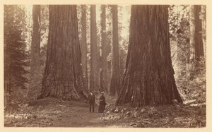  av Carleton Watkins