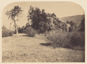  av Carleton Watkins