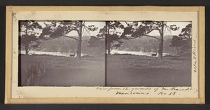 Utsikt fra eiendommen til Mr. Freundt, Mendocino av Carleton Watkins