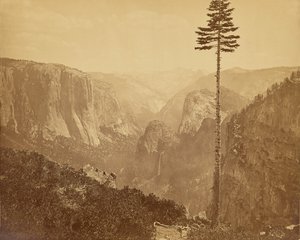  av Carleton Watkins