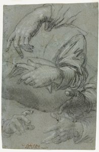 Studies of Hands (recto) av Carletto Caliari