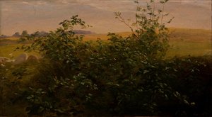  av Carlo Dalgas
