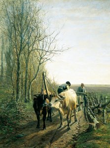 Forventet skatt (okser koblet til vognen)