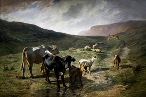 Nær Rivara