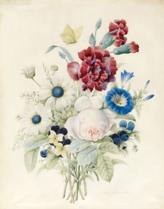 En spray av blomster inkludert en rose, en blå konvolvulus og stemorsblomster, 1830 (wc og kroppsfarge på papir)