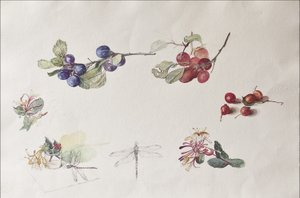 Høstfrukter og blomster, 2007 (wc på papir)