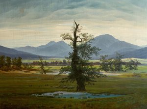 Landsbylandskap med morgenbelysning