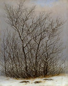 Busker i snøen av Caspar David Friedrich