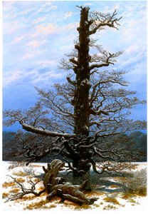 Tysk: Eichbaum im Schnee Eiketreet i snøen av Caspar David Friedrich