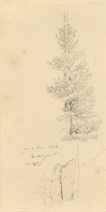 Studie av grantrær og en stein av Caspar David Friedrich