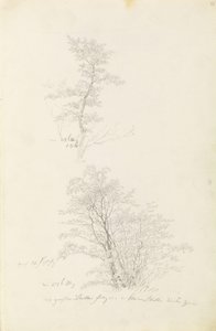 en gruppe unge trær av Caspar David Friedrich