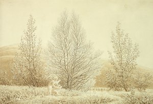 Vår (blyant og sepia på papir) av Caspar David Friedrich