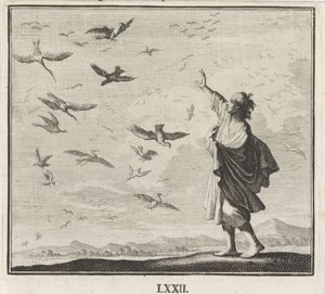 Emblem: fugler av Caspar Luyken