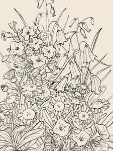  av Catalina Somolinos