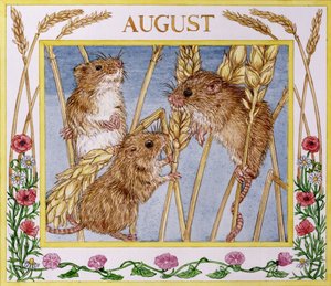 august (wc på papir)