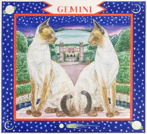 Gemini (wc på papir)