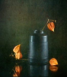 Høstlykter og vase av Catherine Wang