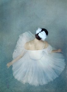  av Catherine Wang