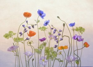 Blomster i den eteriske hagen