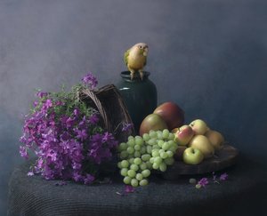Stilleben med papegøye av Catherine Wang