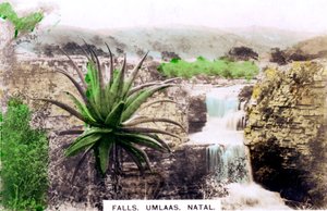 Umlaas Falls, Sør-Afrika, ca 1920-tallet.