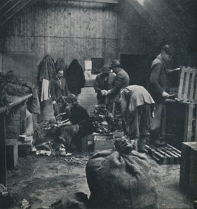 Grønnsaker til markedet, 1941 av Cecil Beaton