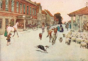 Da solen gikk ned. . . Vi stoppet på Principal Hotel på markedsplassen av Cecil Charles Windsor Aldin