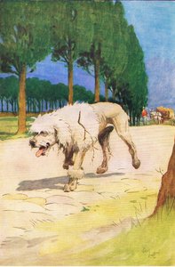 Moufflou (fra historien Moufflou), illustrasjon fra A Staircase of Stories utgitt av Thomas Nelson & Sons Ltd 1940-tallet (farge litho) av Cecil Charles Windsor Aldin