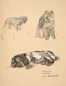 Pekinese, Chow and Spaniel, 1930, illustrasjoner fra skisseboken hans brukt for Just Among Friends, Aldin, Cecil Charles Windsor (1870-1935), senere utgitt av Eyre og Spottiswoode Limited, 1934, Chal av Cecil Charles Windsor Aldin