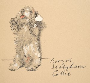 Sealyham, 1930, illustrasjoner fra skisseboken hans brukt for Just Among Friends, senere utgitt av Eyre og Spottiswoode Limited, 1934 (kritt og kull på papir) av Cecil Charles Windsor Aldin