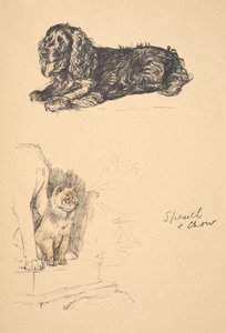 Spaniel and Chow, 1930, illustrasjoner fra skisseboken hans brukt for Just Among Friends, Aldin, Cecil Charles Windsor (1870-1935), senere utgitt av Eyre og Spottiswoode Limited, 1934, Chalk and Char av Cecil Charles Windsor Aldin