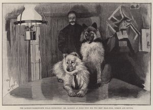 Jackson-Harmsworth polarekspedisjon, Mr Jackson hjemme med sine to beste bjørnehunder, Nimrod og Raving av Cecil Charles Windsor Aldin