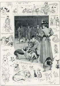 Kennelklubbens utstilling av hunder på Crystal Palace av Cecil Charles Windsor Aldin