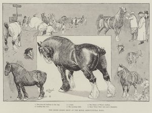 The Shire Horse Show i Royal Agricultural Hall av Cecil Charles Windsor Aldin