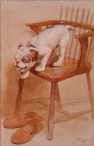 For å lære å beregne høyden på objekter fra toppen du kan hoppe av Cecil Charles Windsor Aldin