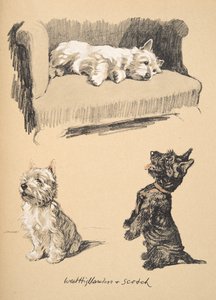 West Highlanders and Scotch, 1930, Illustrasjoner fra Sketch Book brukt for Just Among Friends, senere utgitt av Eyre og Spottiswoode Limited, 1934 (kritt og kull på papir)