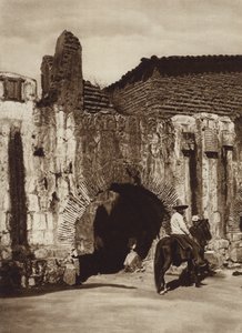 Mexico: Oaxaca, spansk rørledning (s/hvitt bilde)