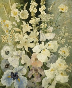 Hvite blomster