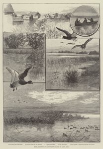 Andeskyting på Long Point Island, ved Lake Erie (gravering) av Charles (after) Whymper