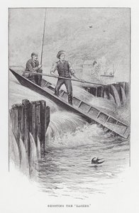 Fiske: Skyting av 'Lasher' (litho) av Charles (after) Whymper