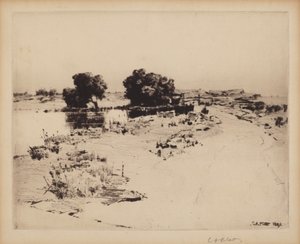 Cape Ann Willows av Charles A. Platt