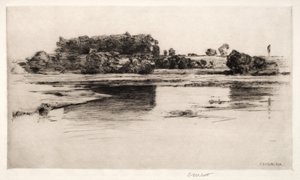 Charles River, 1890.