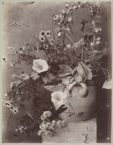 Blomsterstudie med Kölnerkrukke på boks