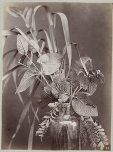 Blomsterstudie med glassflaske