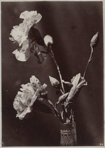 Blomsterstudie med glassvase