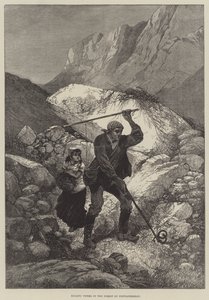 Drep huggorm i Fontainebleau-skogen
