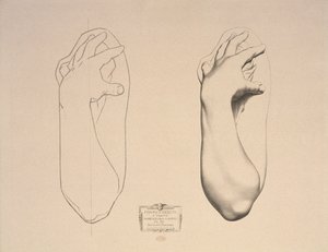 Bent Arm of a Woman, plate 22 fra Cours de Dessin bind I, Modeles dapres la bosse, ca. 1868