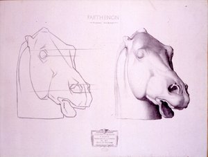Hestehode fra West Pediment of the Parthenon, plate 47 fra Cours de Dessin, ca. 1898