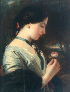 En engelsk rose